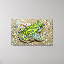Search for green frog posters Outdoors