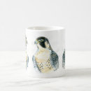 Search for falconry mugs Peregrine