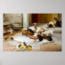 Search for chicks posters Pig
