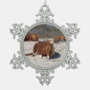 Search for assateague christmas tree decorations Ponies