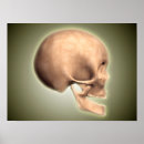 Search for human representation posters Medicine