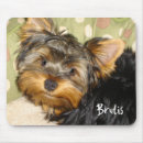 Search for yorky mouse mats Canine