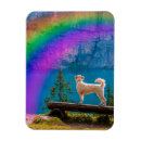 Search for memorial magnets Loss