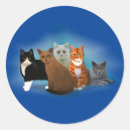 Search for beautiful cat stickers Pets