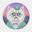 Search for whisker magnets Kitten