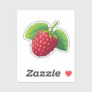Search for raspberry stickers Fruit