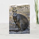 Search for wallaby cards Australia