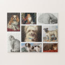Search for jigsaws pet dogs puzzles Pet photo collage