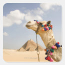 Search for giza pyramid stickers Architecture