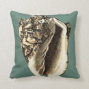 Search for shell cushions Coastal