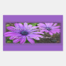 Search for man birthday stickers Blue