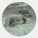 Search for komodo dragon stickers Reptile