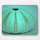 Search for saltwater mouse mats Wildlife