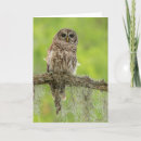 Search for limb cards Wildlife