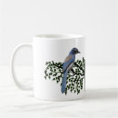 Search for blue jay Leaves