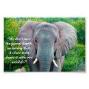 Search for elephant photos posters Wildlife