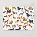 Search for chihuahua illustration postcards Animal