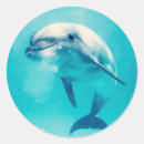 Search for bottlenose stickers Cute