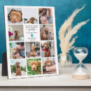 Search for cat loss gifts Keepsake