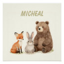 Search for cute white fox posters Animal