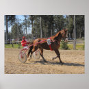 Search for sulkiness posters Horses