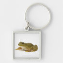 Search for green frog key rings Horizontal