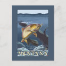 Search for trout postcards Montana