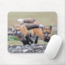Search for fox mouse mats Nature