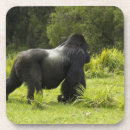 Search for mcdonald barware Herbivore