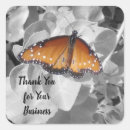 Search for butterfly photo stickers Nature