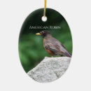 Search for robin bird christmas tree decorations Birds