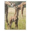 Search for giraffe notebooks Pattern