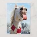 Search for horse christmas invitations Animal