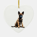 Search for belgian malinois christmas tree decorations Puppy