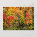 Search for blue pond cards Foliage