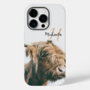 Search for highland cattle iphone cases Cow