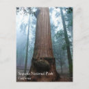 Search for giant postcards Nature