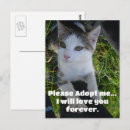 Search for love shopping postcards Cute