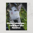 Search for love shopping postcards Cute