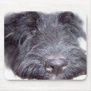 Search for scottish mouse mats Black