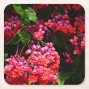 Search for fuschia barware Pink