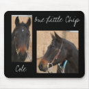 Search for quarter horses electronics Animals