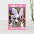 Search for 13th birthday cards Dog