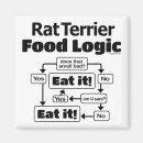Search for rats magnets Food