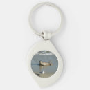 Search for seal key rings Nature