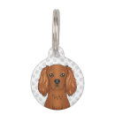 Search for ruby pet supplies Cavalier