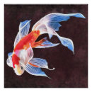 Search for goldfish posters Orange