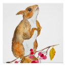 Search for squirrel posters Forest