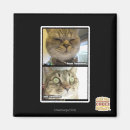 Search for thermometer magnets I can has cheezburger