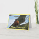 Search for robin birthday cards Bird